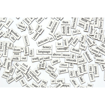 Picture of Magnetic Words