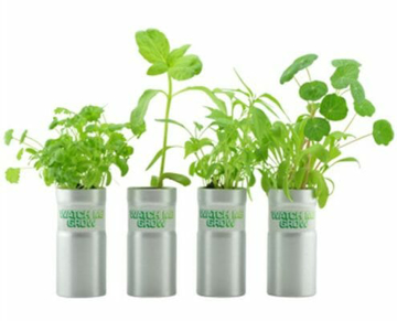 aluminimum tube with seed - growing kit