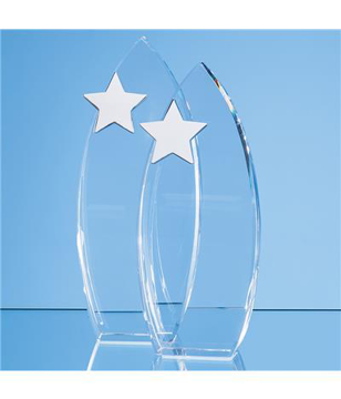 Arch Award with Silver Star