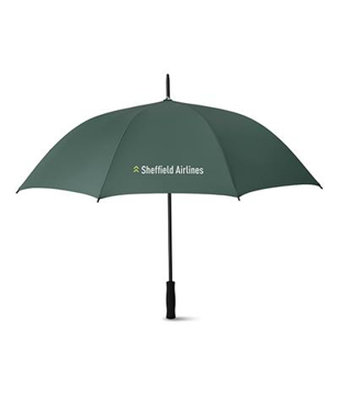 Swansea Umbrella in green with 2 colour print logo