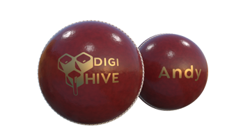 Personalised Cricket Ball with gold logo and name