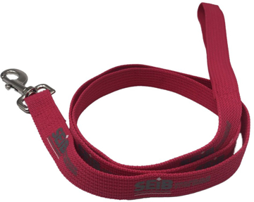 recycled PET dog lead in red