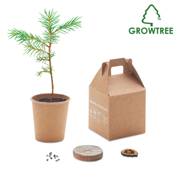 Growtree tree with packaging