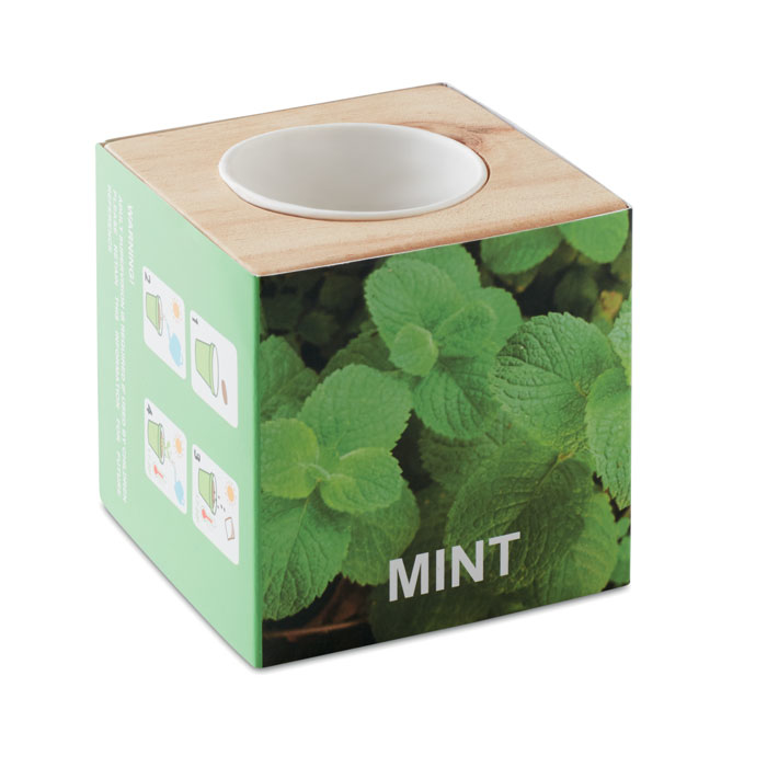 Mint in wooden plant pot with sleeve