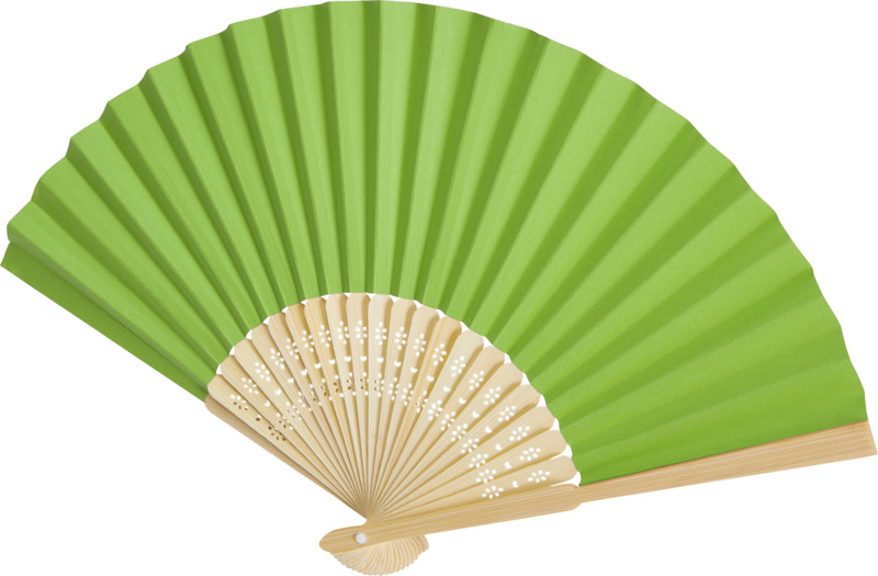 Bamboo & Paper Fan