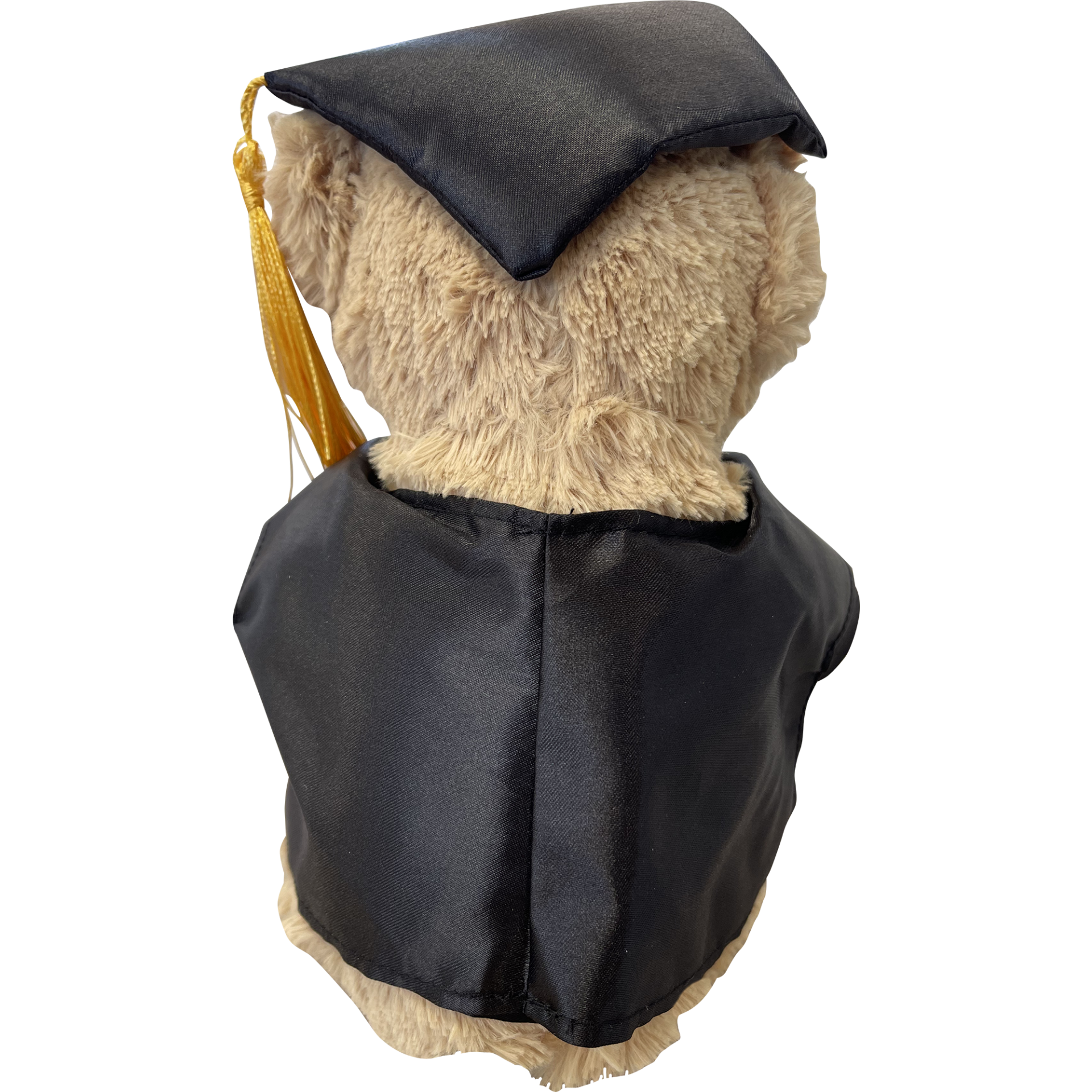 	Graduation Bear back